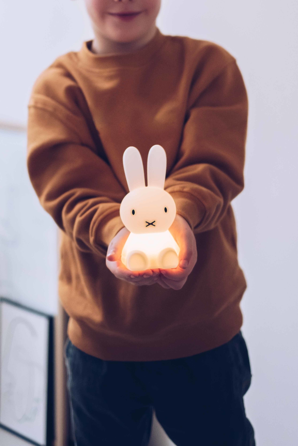 Bundle of Light Miffy